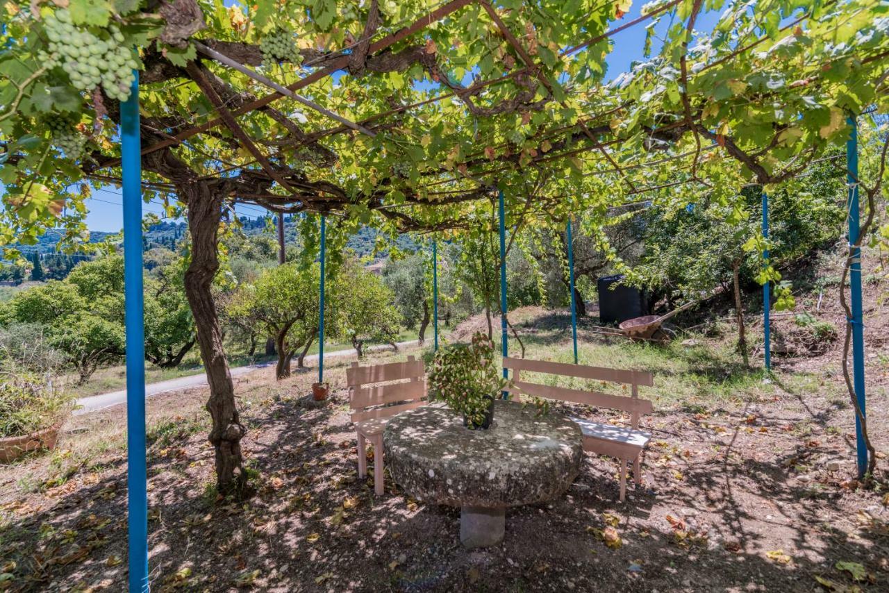 Amalia Country House Áno Yerakaríon Dış mekan fotoğraf